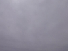 manifestazione-12_resize
